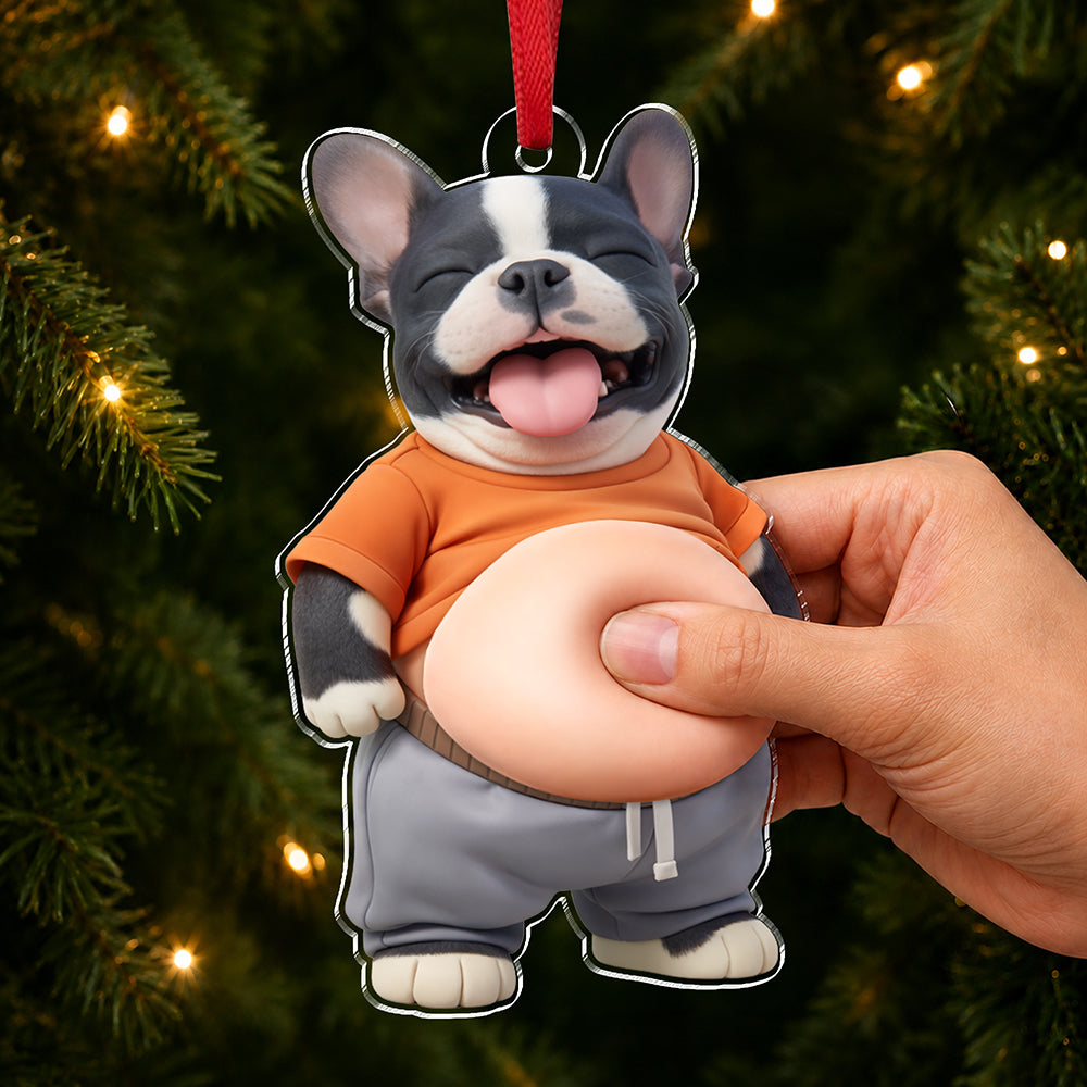 Custom Photo Squishy Acrylic Ornament – Personalized Birthday Gifts For Dog Cat Lovers, Dog Dad And Mom, Cat Owners - Professional Comedian In Fur HO82 903348