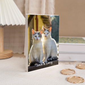 Custom Dog Cat Photo Rectangle Building Brick Blocks Gift For Dog Cat Lovers HA75 892514