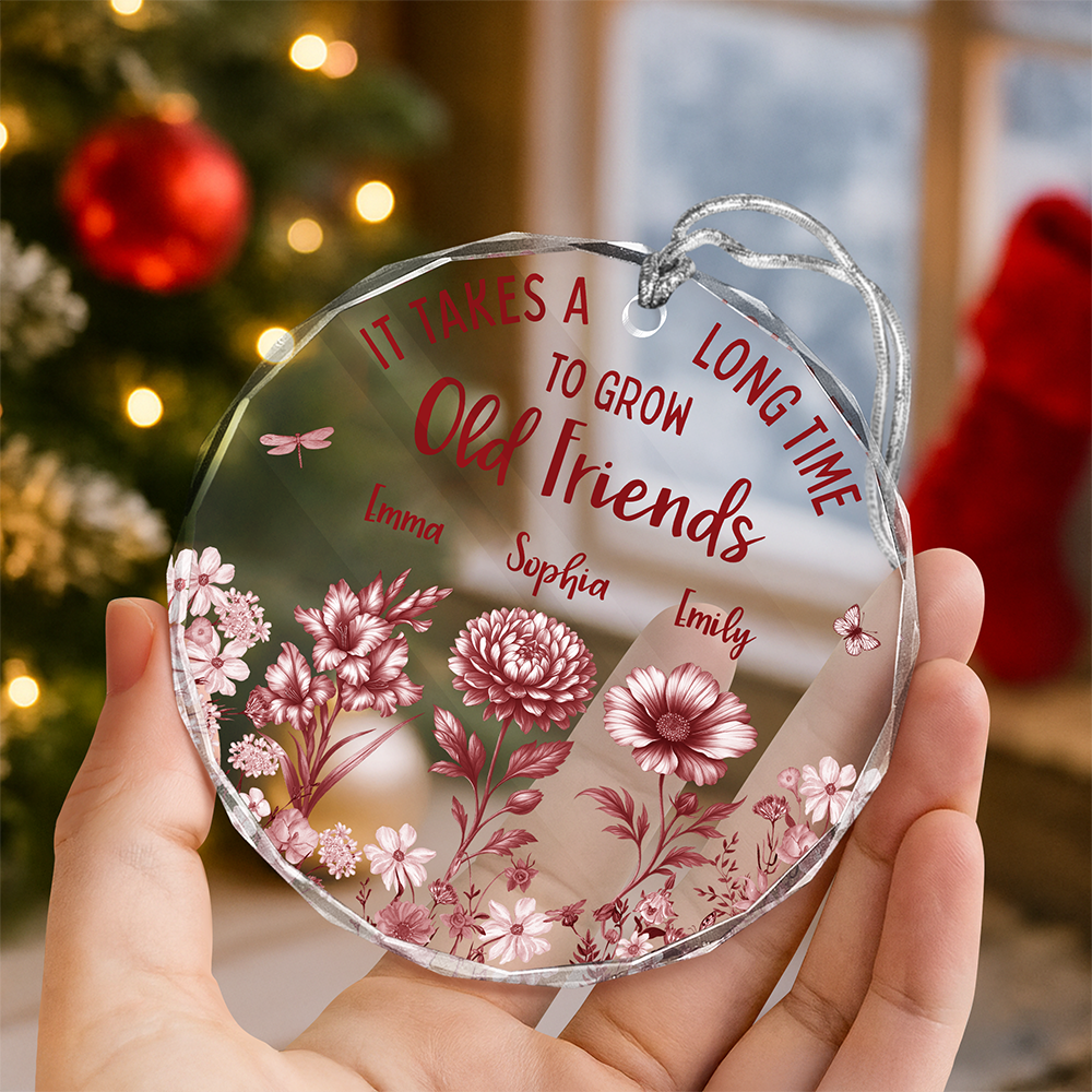 It Takes A Long Time To Grow An Old Friend Toile De Jouy Vintage French Style Personalized Cirle Glass Ornament HA75 897072