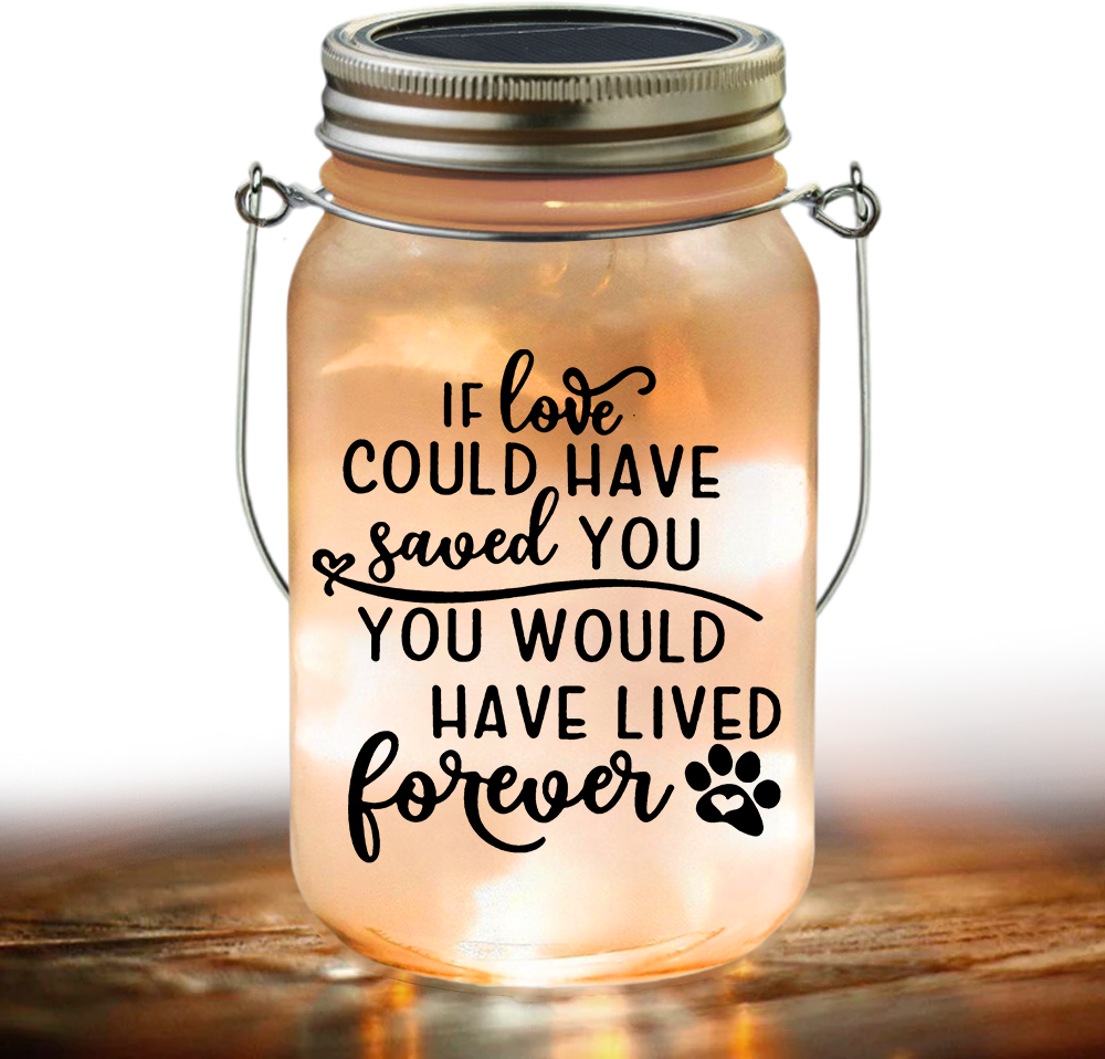 Custom Photo You Would Have Lived Forever Memorial Mason Jar Light LM32 893161