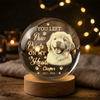 Custom Photo Memorial Once By My Side Forever In My Heart Engraved Crystal Ball LED Night Light HO82 901418