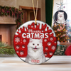 Custom Dog Cat Photo Christmas - Personalized Ceramic Ornament TH10 894383
