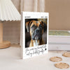 Custom Dog Photo Memorial Building Brick Blocks Gift For Dog Lover CH07 180500