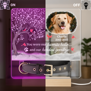 You Were My Favorite Hello And My Hardest Goodbye - Custom Pet Memorial Acrylic Collar Frame CH07 896082