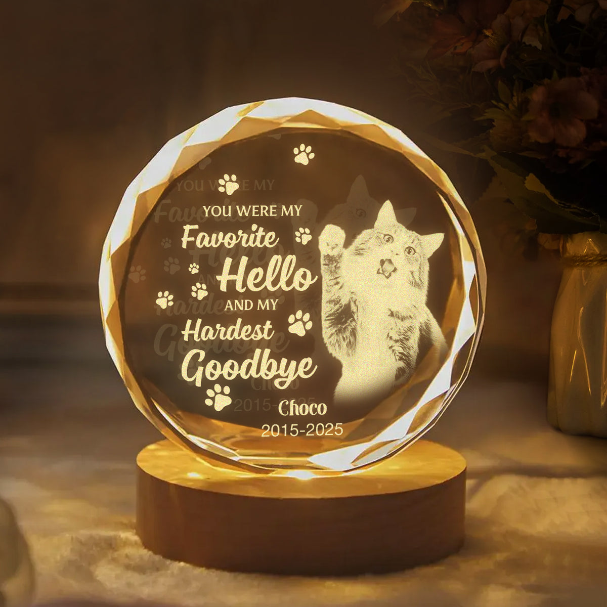Custom Photo Dog Memorial Engraved Crystal Photo With Light TH10 898177