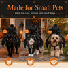 Halloween Horseman Pet Rider Costume, Pumpkin Knight Gothic Cat Outfit LM32 670247