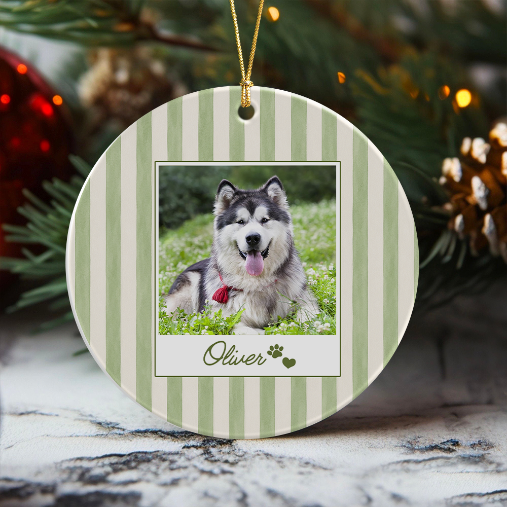 Personalized Pet Photo Christmas Ceramic Ornament Pet Lover Holiday Gift TH10 170755