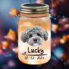 Custom Photo You Would Have Lived Forever Memorial Mason Jar Light LM32 893161