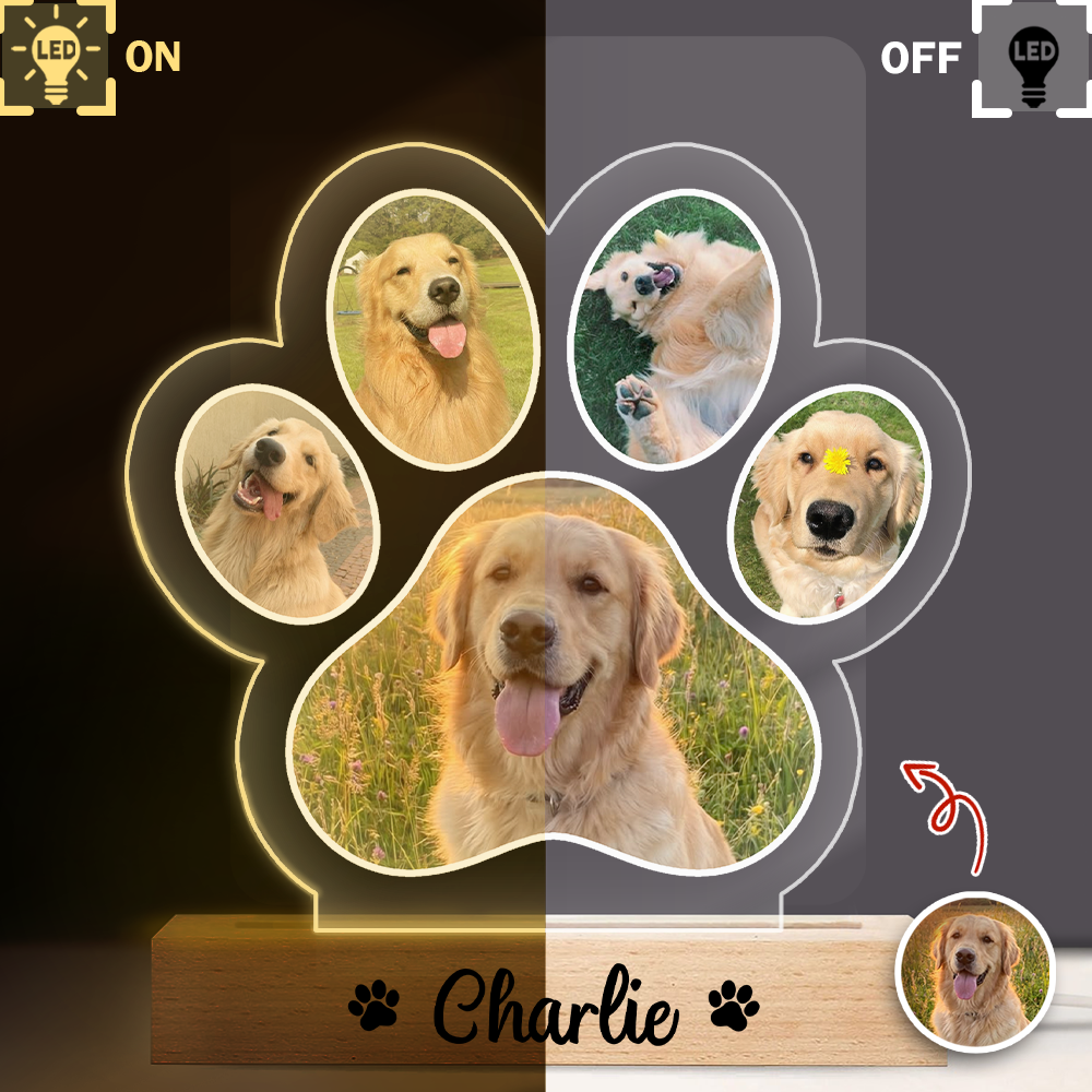 Custom Dog Photo And Name Memorial LED Night Light For Dog Lover TH10 170441