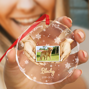 Custom Pet Photo Memorial Glass Ornament TH10 894999