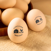 Personalized Chicken Egg Stamp for Farm Fresh Eggs Cute Coop Gift for Homesteaders CH07 910026