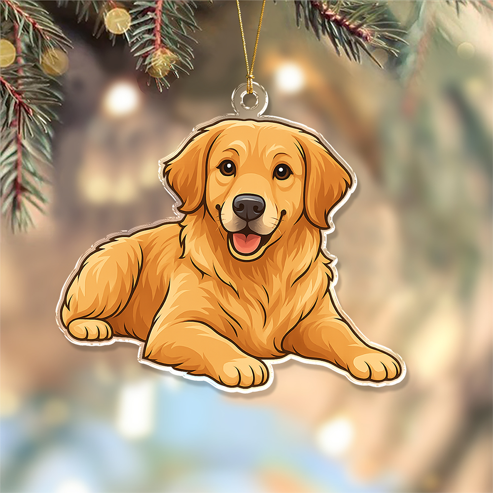 Custom Dog Cat Cartoon Photo Decor Acrylic Ornament LM32 893807