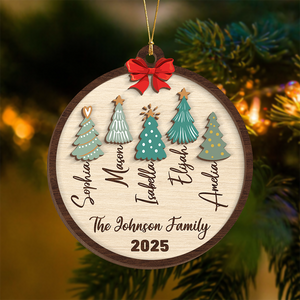 Custom Family Name Christmas Layer Wood Ornament Gift For Family HO82 900720