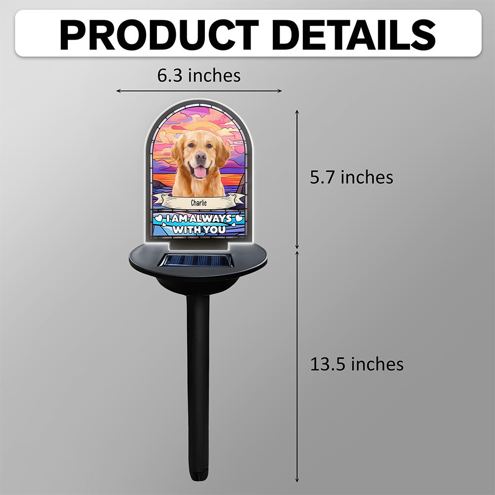 Custom Dog Cat Photo I'm Always With You Memorial Solar Light TH10 896055