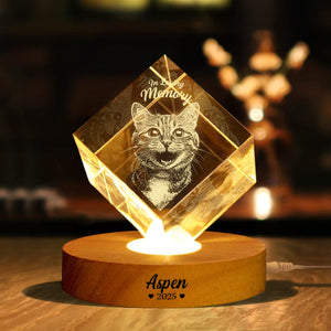 Custom Photo In Loving Memory Memorial Engraved Crystal Photo With Light HA75 898210