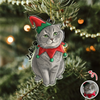 Custom Cute Cat Photo Portrait Christmas Decoration Acrylic Ornament LM32 895715