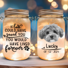 Custom Photo You Would Have Lived Forever Memorial Mason Jar Light LM32 893161
