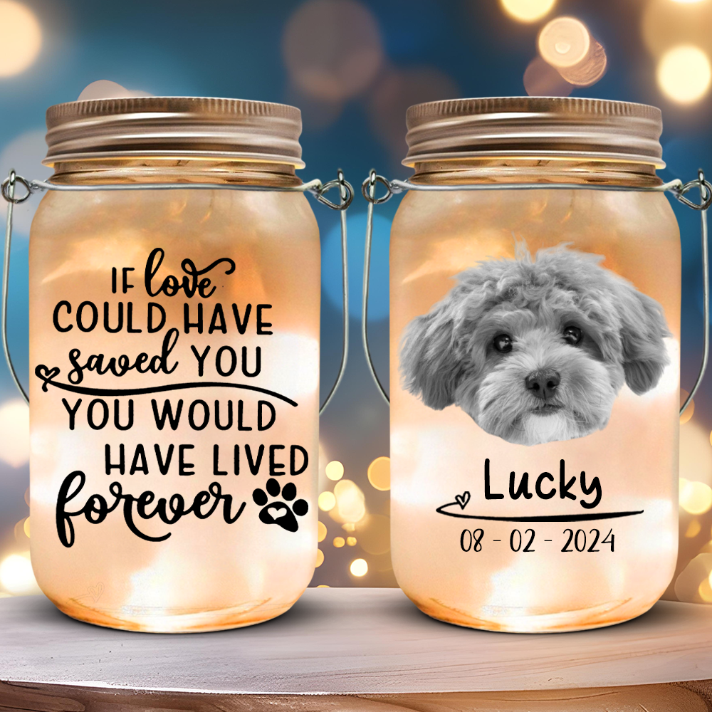 Custom Photo You Would Have Lived Forever Memorial Mason Jar Light LM32 893161