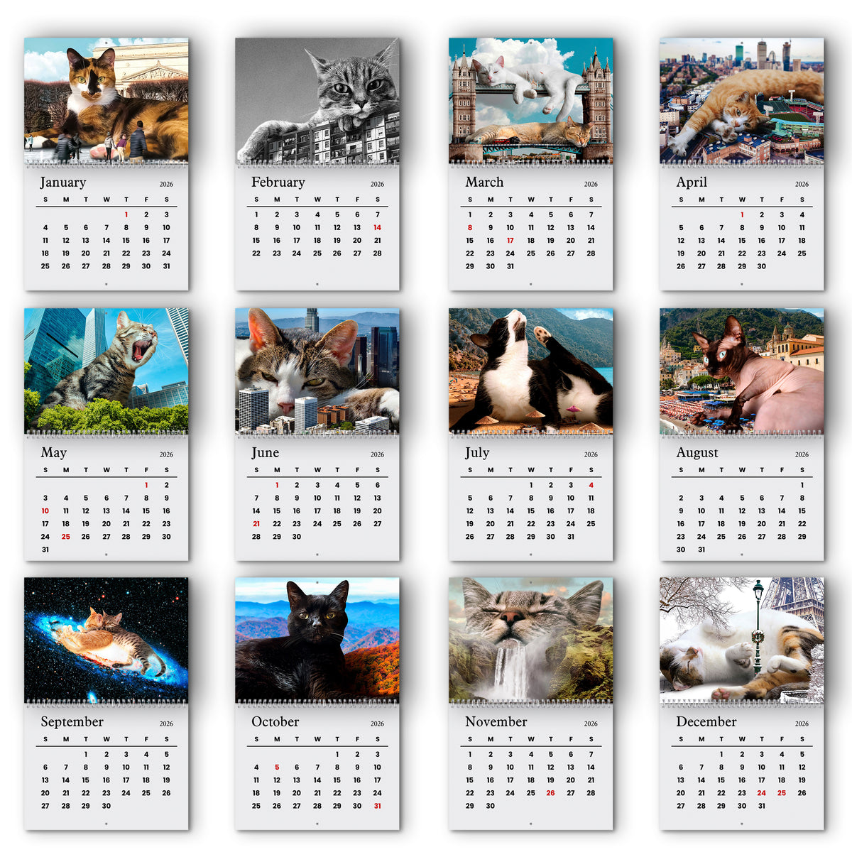 Funny Lazy Cats Wall Calendar 2026 For Cat Lovers LM32 897309