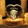 Custom Photo In Loving Memory Memorial Engraved Crystal Photo With Light HA75 898210