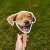 Custom Photo Funny Dog Cat Face Fan TH10 892545