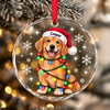 Personalized Dog Photo Christmas Light Glass Ornament CH07 180984