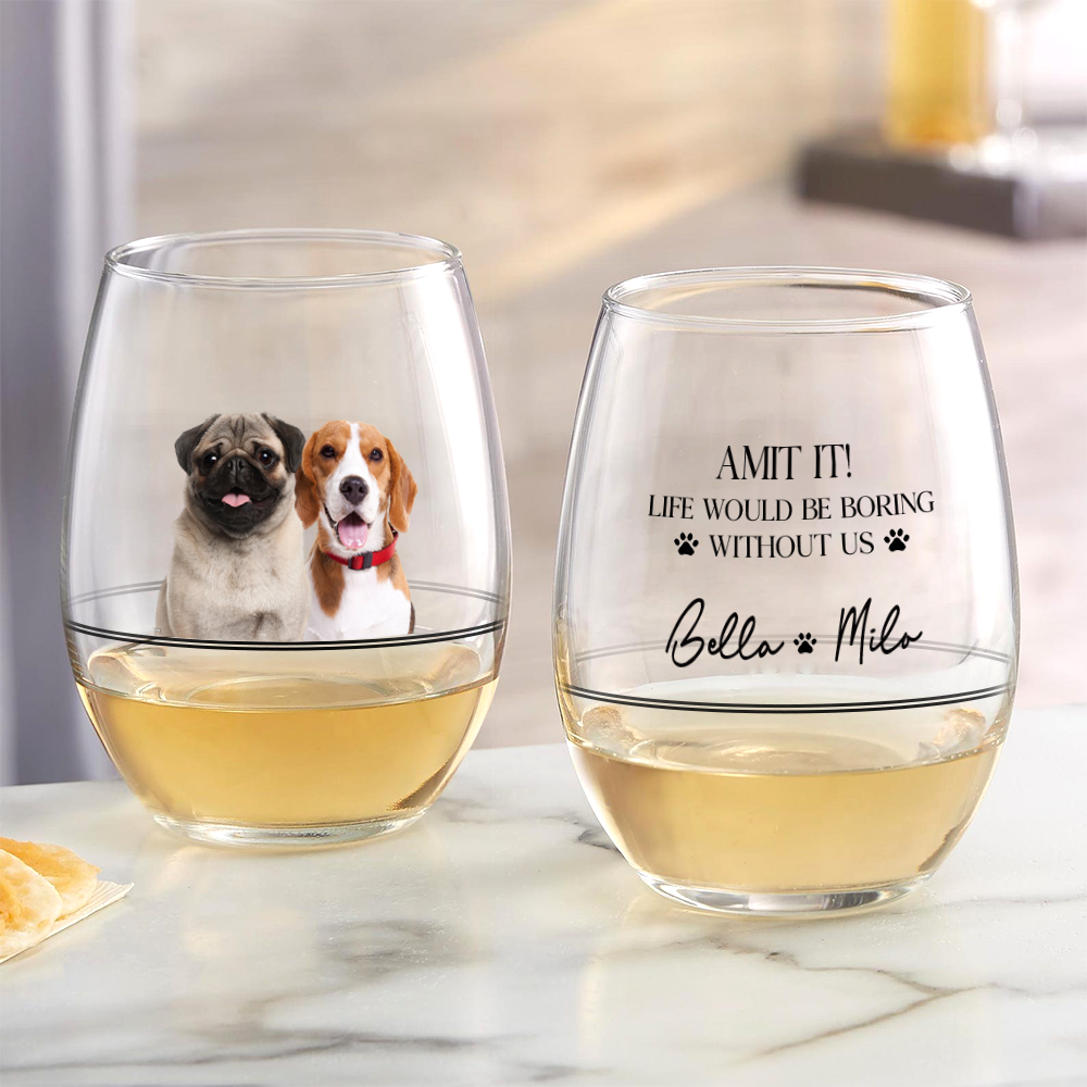 Custom Photo Life Would Be Boring Without Us Wine Glass For Pet Lover TH10 898997