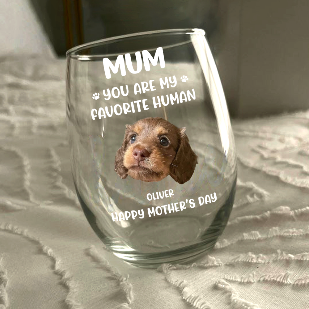 Custom Funny Face Dog Cat - Mom, You’re My Favorite Human Wine Glass HA75 892182