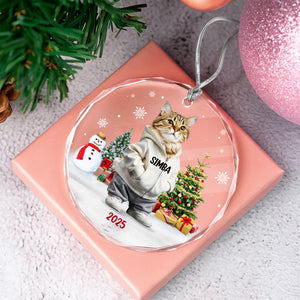 Custom Photo Cat Christmas Glass Ornament CH07 899786