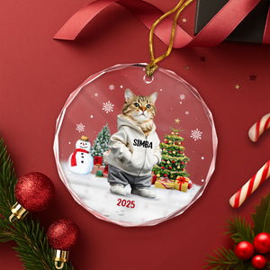 Custom Photo Cat Christmas Glass Ornament CH07 899786