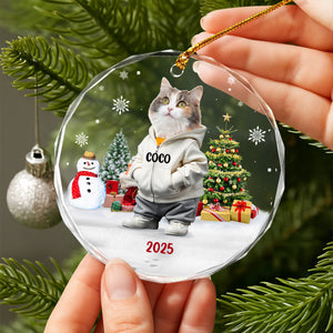 Custom Photo Cat Christmas Glass Ornament CH07 899786