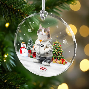 Custom Photo Cat Christmas Glass Ornament CH07 899786
