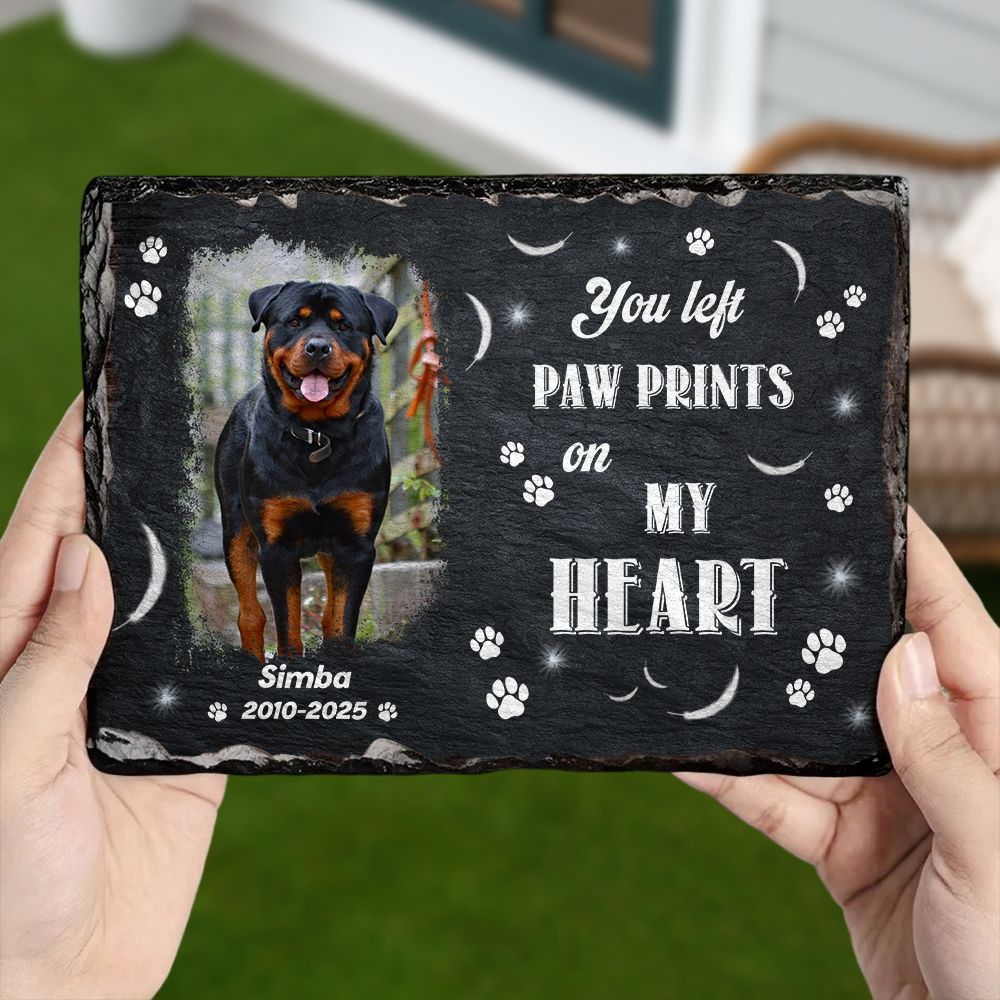 You Were My Favorite Hello Custom Dog Cat in Heaven Photo Rectangle Shaped Stone With Stand Memorial Gift CH07 895482
