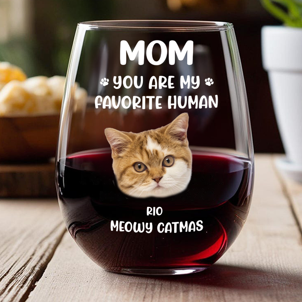Custom Face Dog Cat - Mom, You’re My Favorite Human Wine Glass HA75 892944