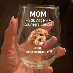 Custom Funny Face Dog Cat - Mom, You’re My Favorite Human Wine Glass HA75 892182