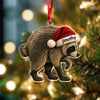 Jimothy Raccoon Acrylic Ornament, Viral Seattle Raccoon Christmas Decor Gift CH07 180236