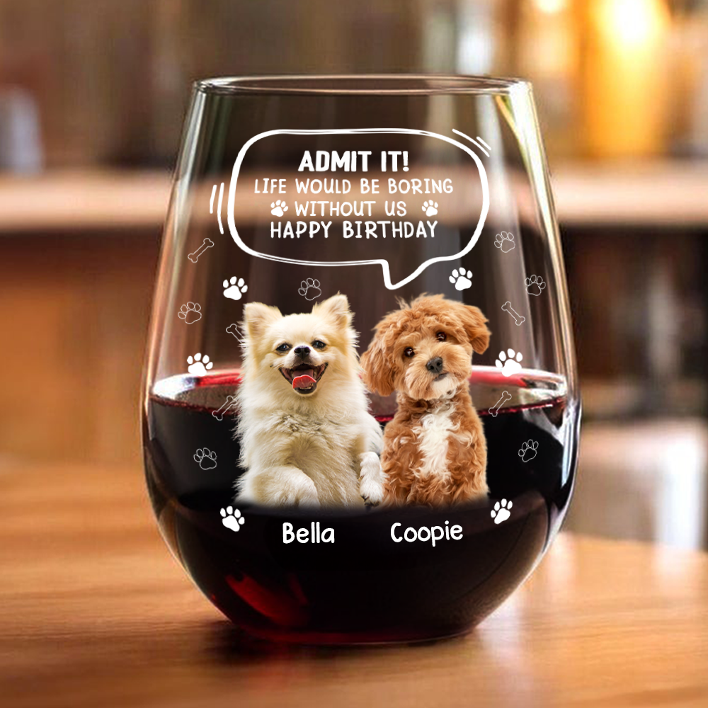 Custom Photo Life Would Be Boring Without Me Dog Cat Wine Glass HA75 892028