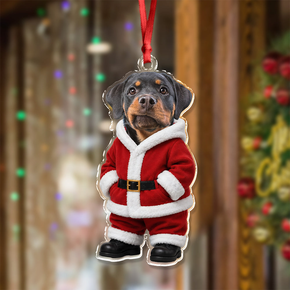 Custom Dog Cat Photo Santa Suit Acrylic Ornament, Christmas Gift For Pet Lovers TH10 170735