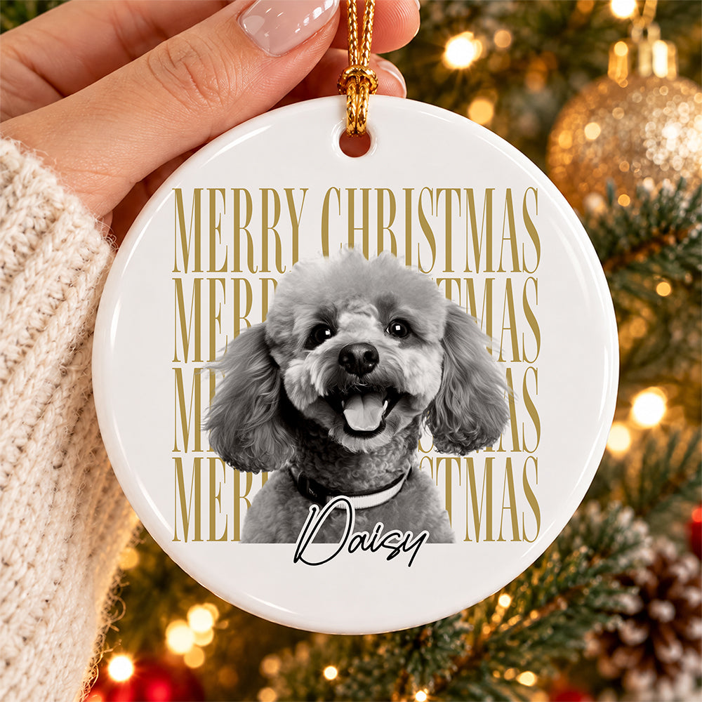 Personalized Vintage Dog Cat Photo Merry Christmas Ceramic Ornament HA75 919280