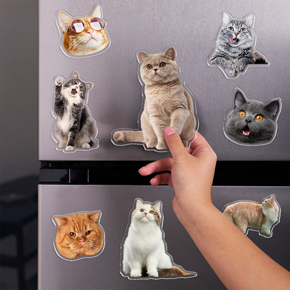 Custom Photo Cat Pet Personalized Acrylic Fridge Magnet For Cat Lovers HA75 897908