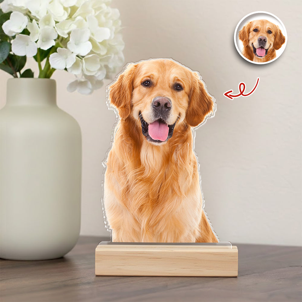 Custom Dog Cat Photo Acrylic Statuette, Gift for Pet Lovers HO82 901138