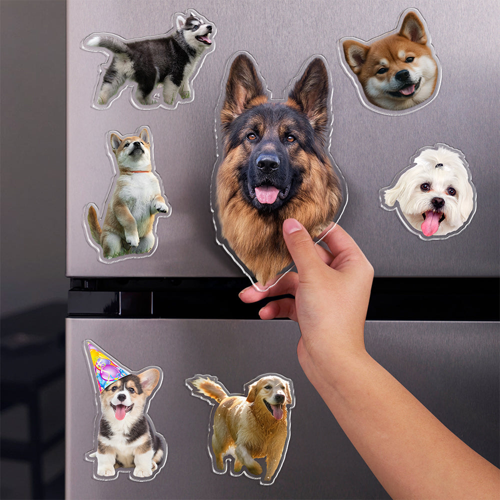 Custom Photo Dog Pet Personalized Acrylic Fridge Magnet For Dog Lovers HA75 897906