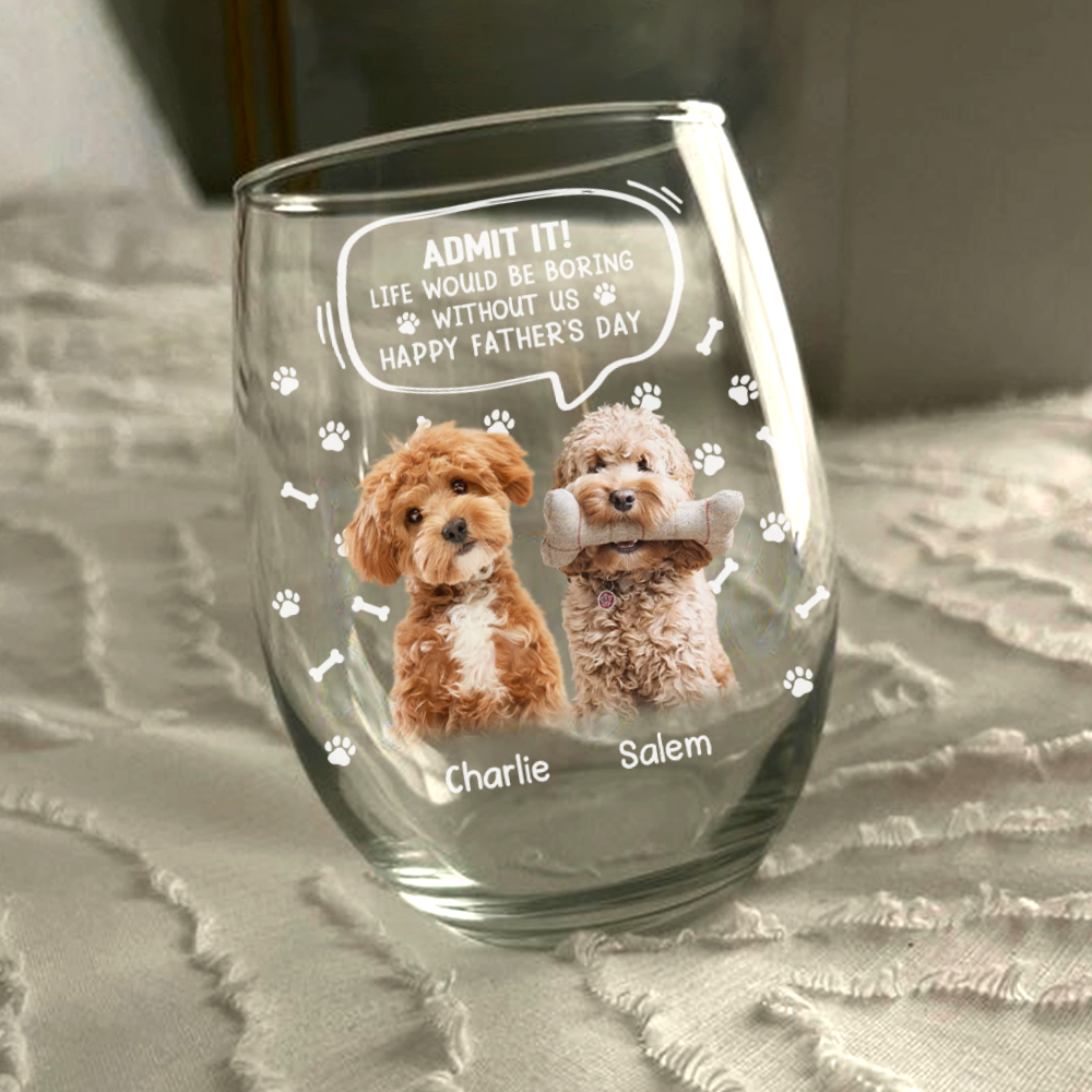 Custom Photo Life Would Be Boring Without Me Dog Cat Wine Glass HA75 892028
