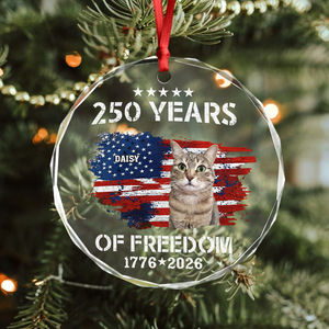 Custom Cat Photo American 250th Anniversary Glass Ornament LM32 895197