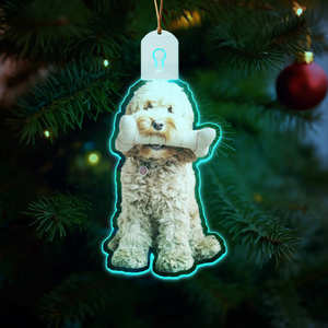 Custom Dog Photo Led Acrylic Ornament N304 HA75 891680