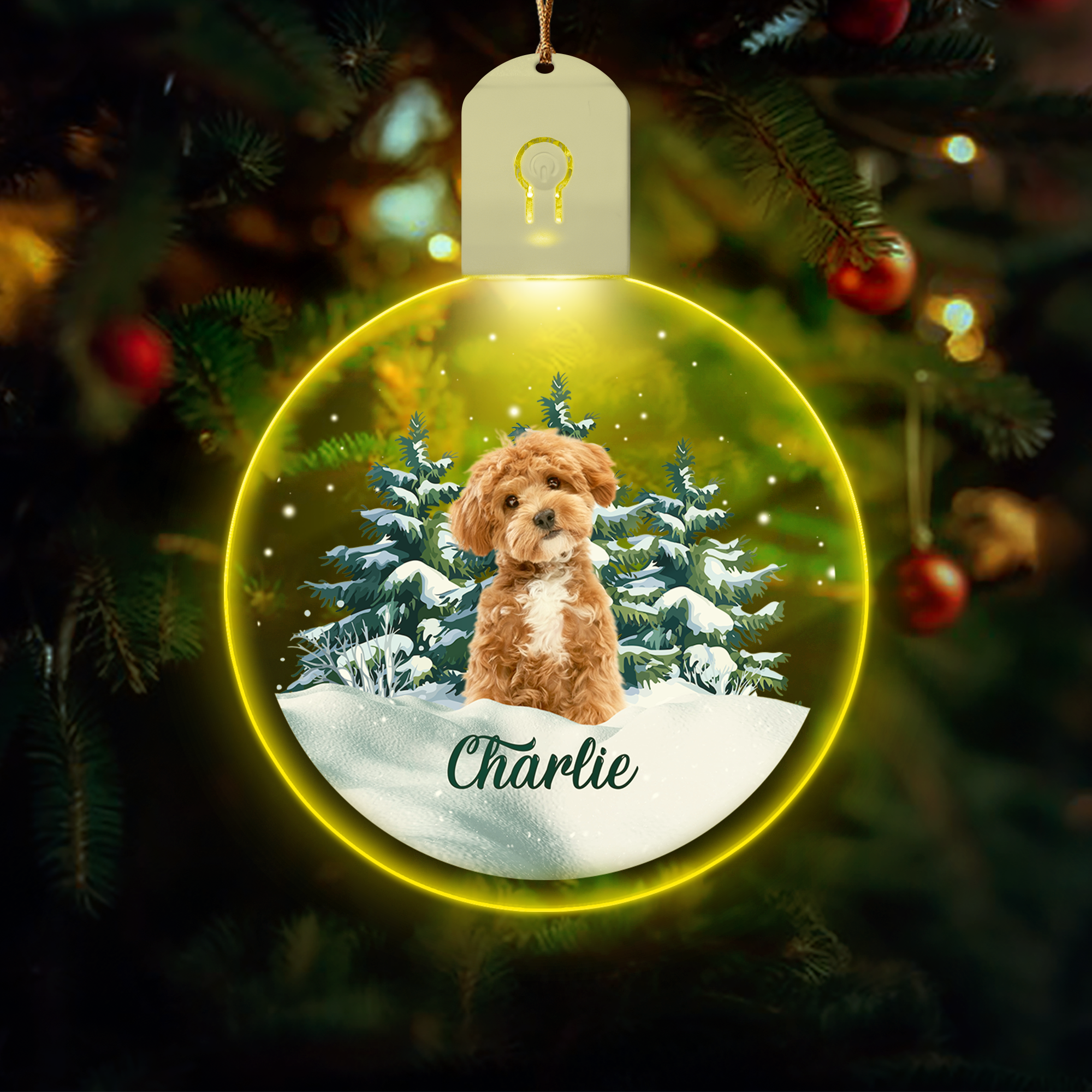 Custom Dog Photo and Name Led Acrylic Ornament For Dog Lovers HA75 891849