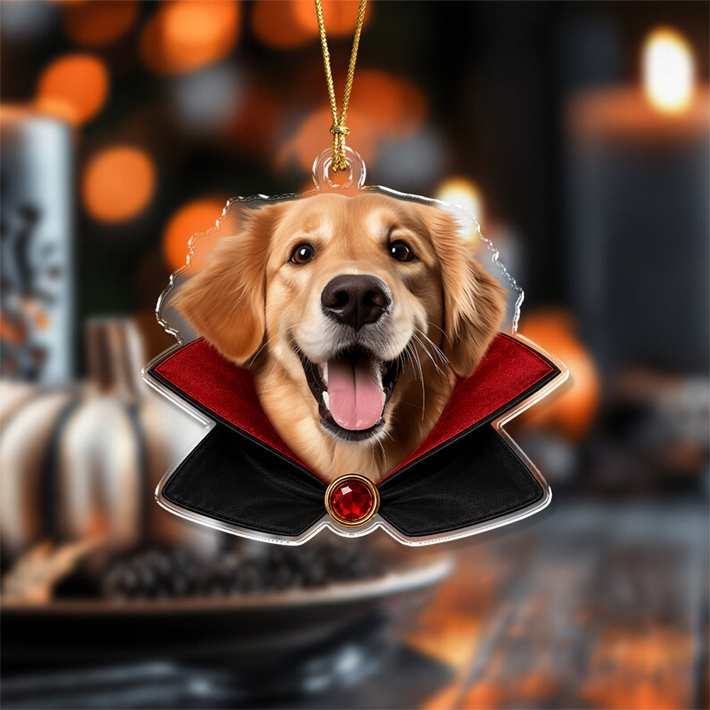 Personalized Pet Halloween Photo Acrylic Ornament Funny Halloween Tree Decoration TH10 170515