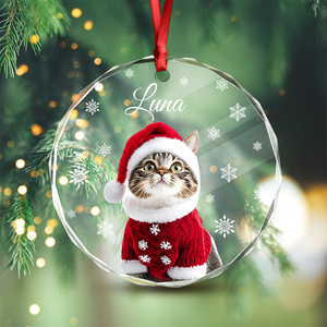 Custom Photo Cat Glass Ornament For Christmas HA75 897240