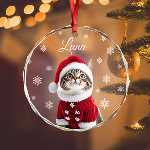 Custom Photo Cat Glass Ornament For Christmas HA75 897240