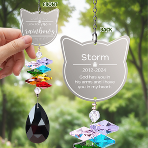 Look For Me In Rainbows Cat Personalized Memorial Rainbow Suncatcher N304 HA75 891440